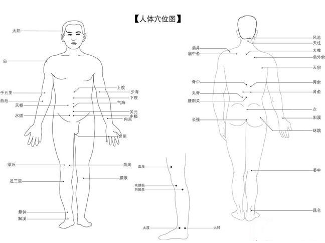 人体穴位图